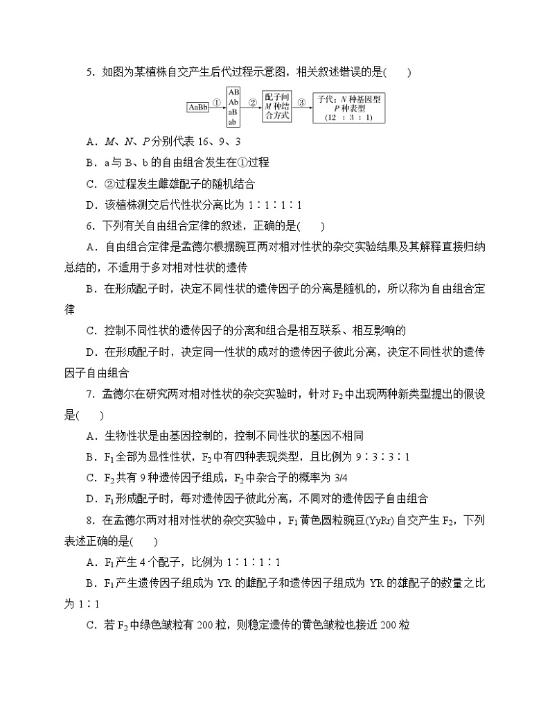 【分层作业】人教版高中生物必修二 1.2《孟德尔的豌豆杂交实验(二)》第1课时（含答案解析）第2页