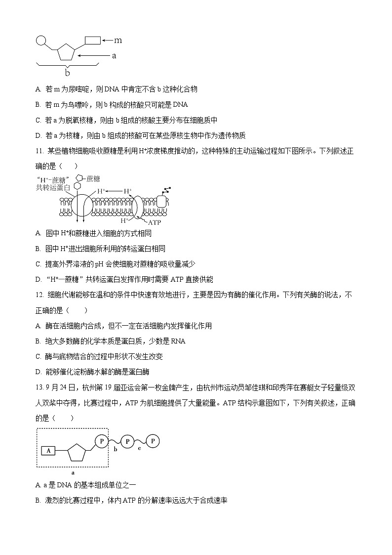 安徽省亳州市第二完全中学2023-2024学年高一下学期3月月考生物试题（原卷版）第3页