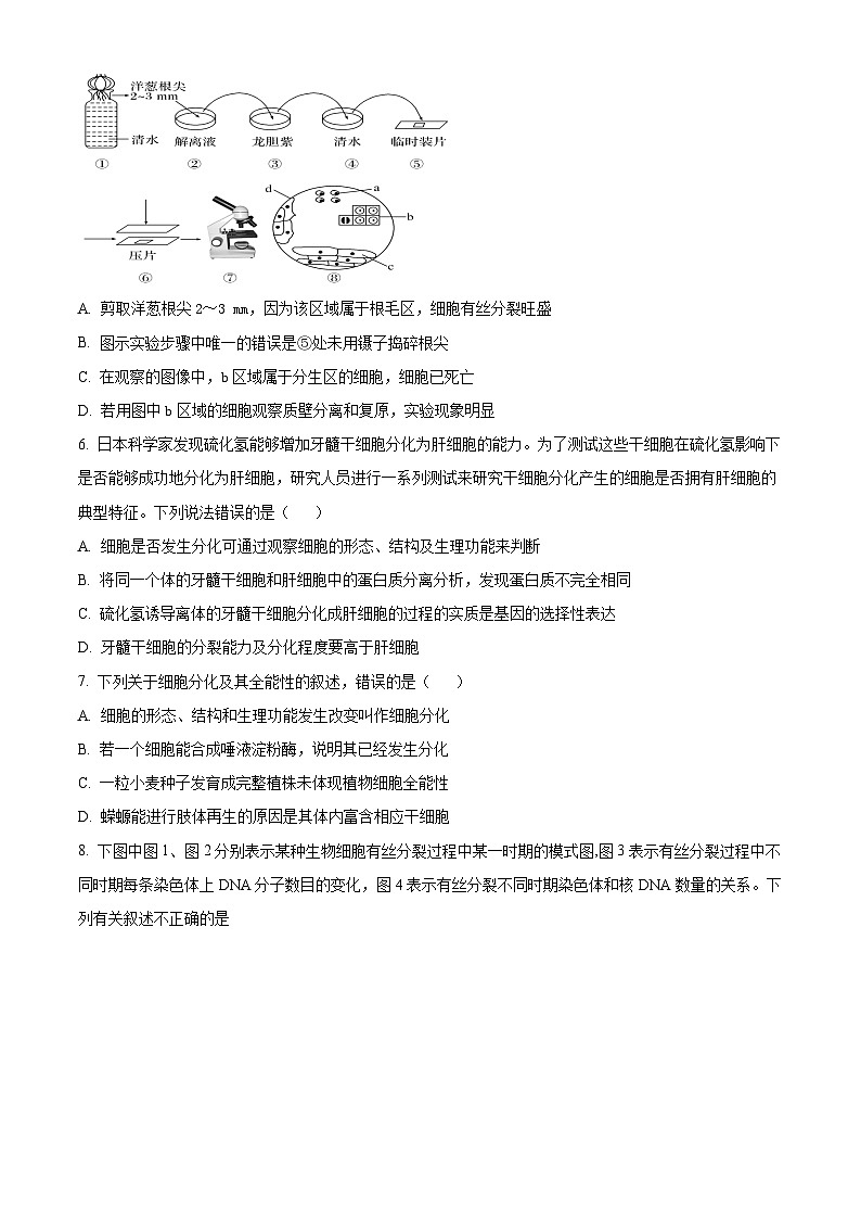 广东省茂名市电白区第一中学2023-2024学年高一下学期4月月考生物试题（原卷版+解析版）02