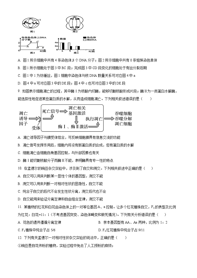 广东省茂名市电白区第一中学2023-2024学年高一下学期4月月考生物试题（原卷版+解析版）03