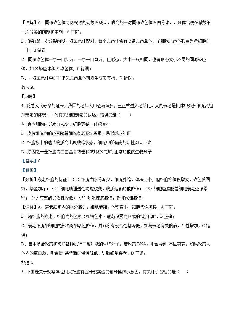 广东省茂名市电白区第一中学2023-2024学年高一下学期4月月考生物试题（原卷版+解析版）03