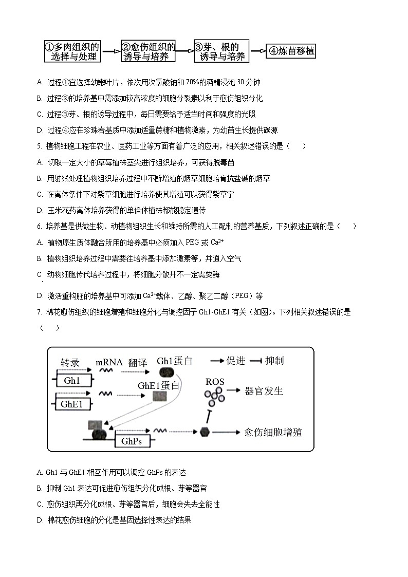 江苏省锡东高级中学2023-2024学年高二下学期3月月考生物试题（原卷版）第2页