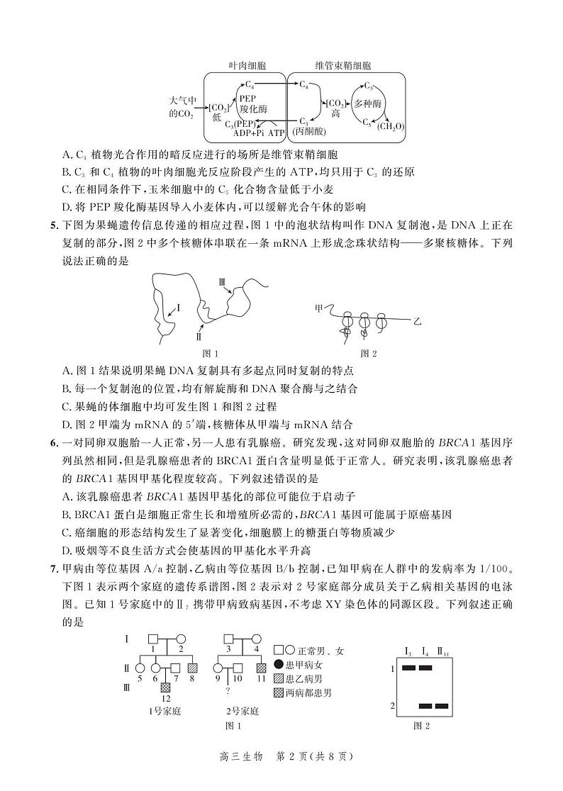 河北省2024届高三大数据应用调研联合测评（Ⅵ）生物试题02