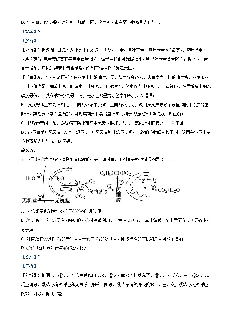 江西省抚州市金溪一中2023-2024年高一下学期第一次月考生物试题（解析版）第2页