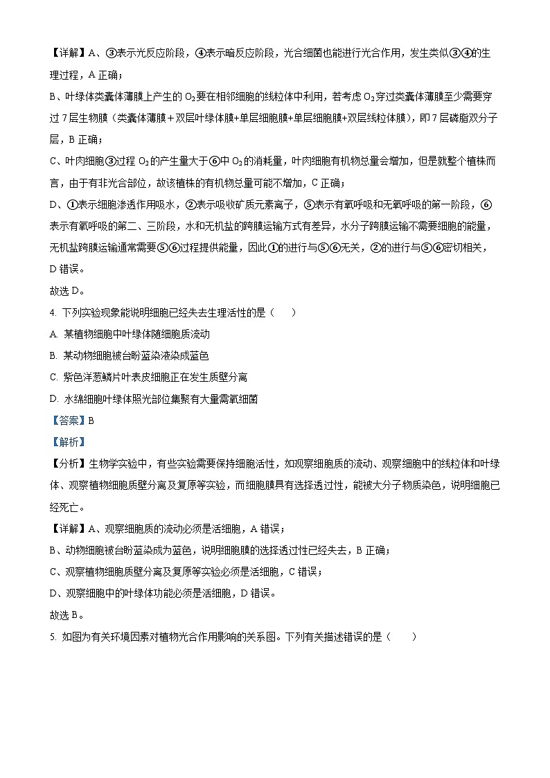 江西省抚州市金溪一中2023-2024年高一下学期第一次月考生物试题（解析版）第3页