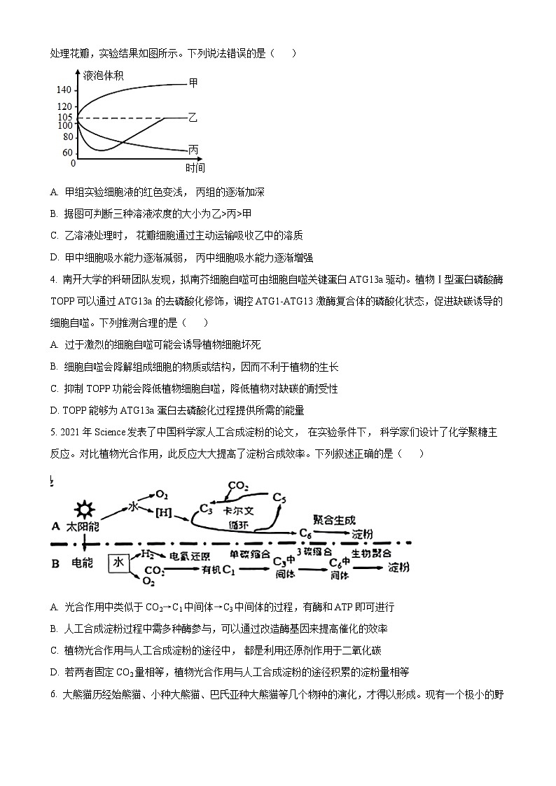2024届吉林省高三三模考试生物试题（原卷版+解析版）02