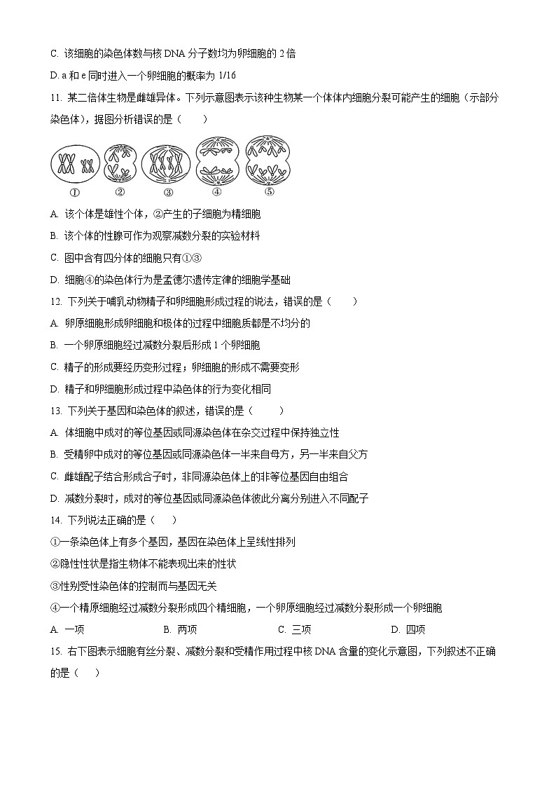 河北省邯郸市部分学校2023-2024学年高一下学期3月月考生物试卷（Word版附解析）03