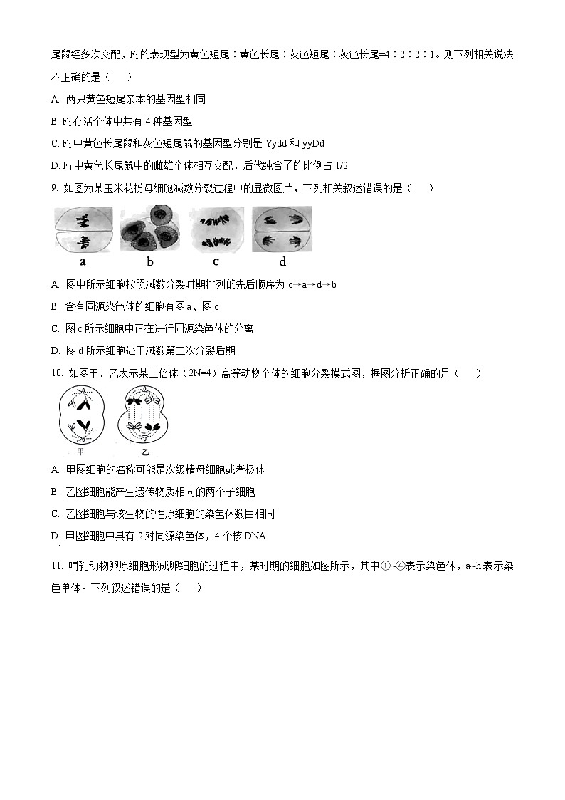 河南省南阳市六校2023-2024学年高一下学期3月第一次联考生物试卷（Word版附解析）03