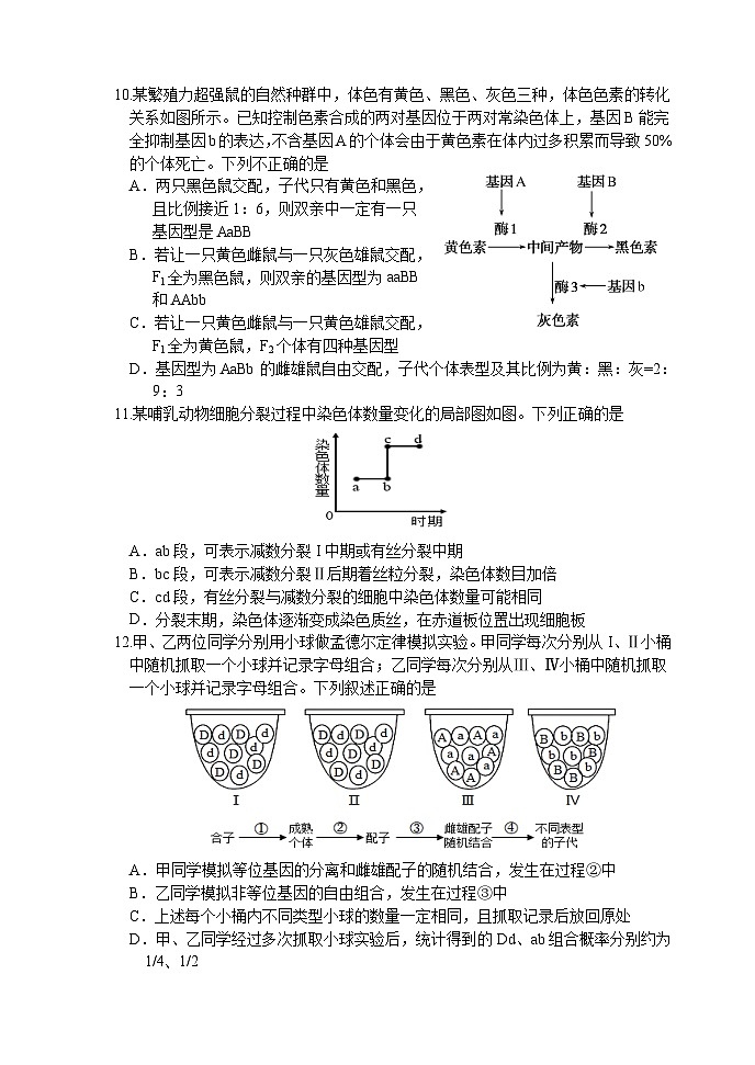 天津市静海区第一中学2023-2024学年高一下学期3月月考生物试卷（Word版附答案）第3页