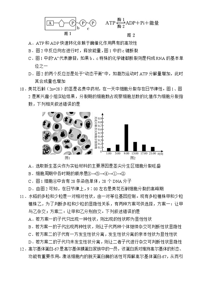 海南省文昌中学2023-2024学年高一下学期第一次月考生物试题（Word版附答案）03