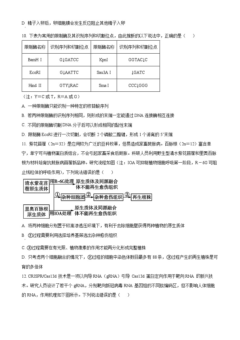 江苏省扬州中学2023-2024学年高二下学期3月月考生物试题（Word版附解析）03