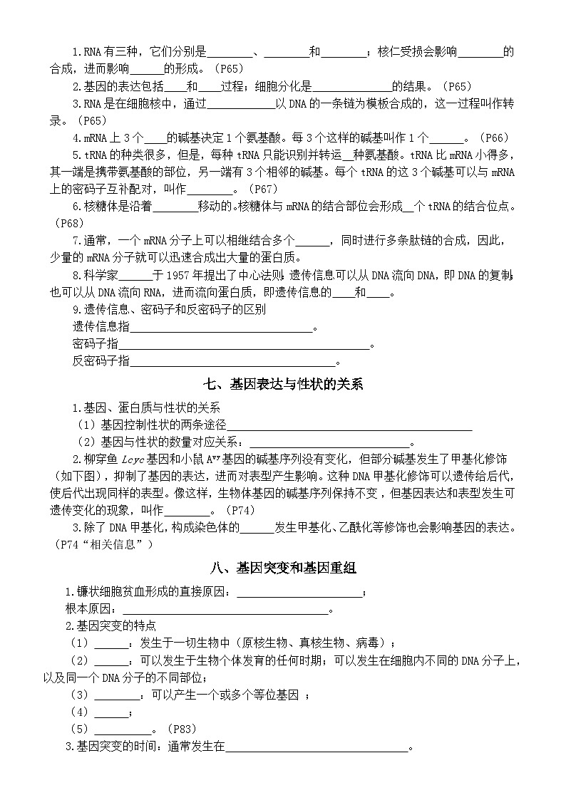 高中生物人教版2024届高考考点知识填空练习系列（肺炎链球菌的转化实验+噬菌体侵染细菌的实验+ DNA的结构+ DNA的复制…+生物有共同祖先的证据）（附参考答案）第3页