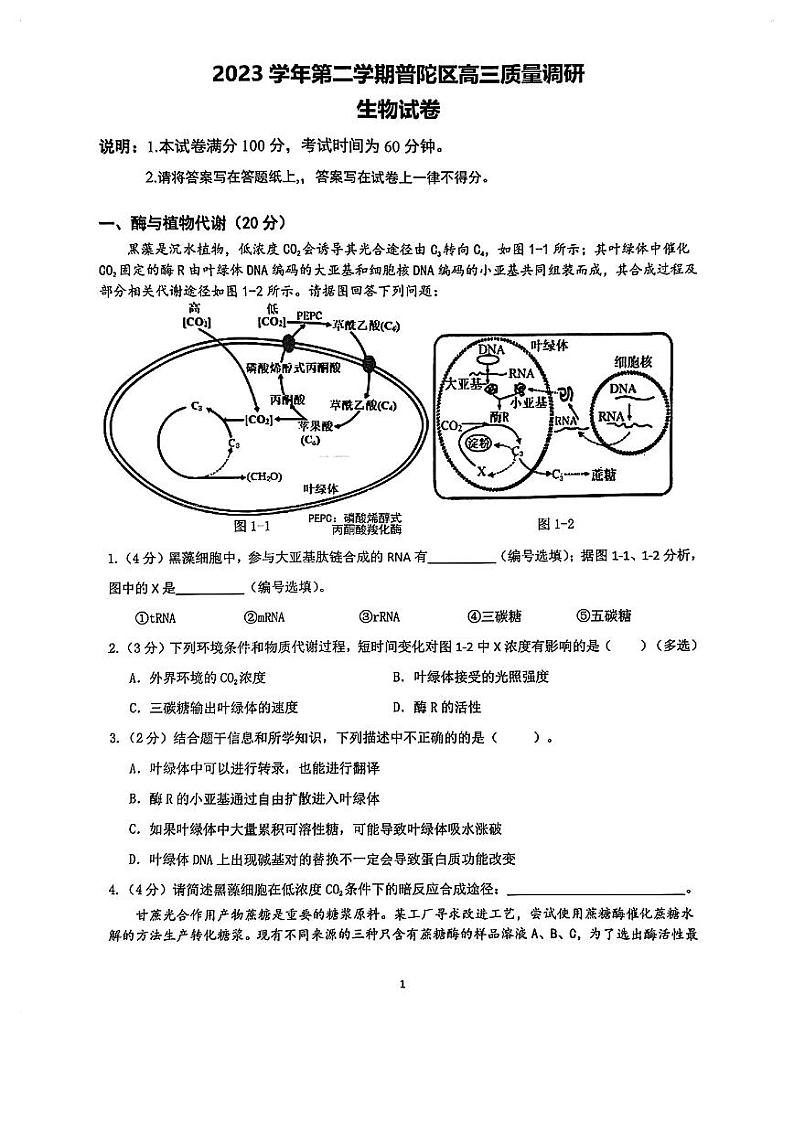 2024年上海普陀区高三二模生物试卷（含答案）01