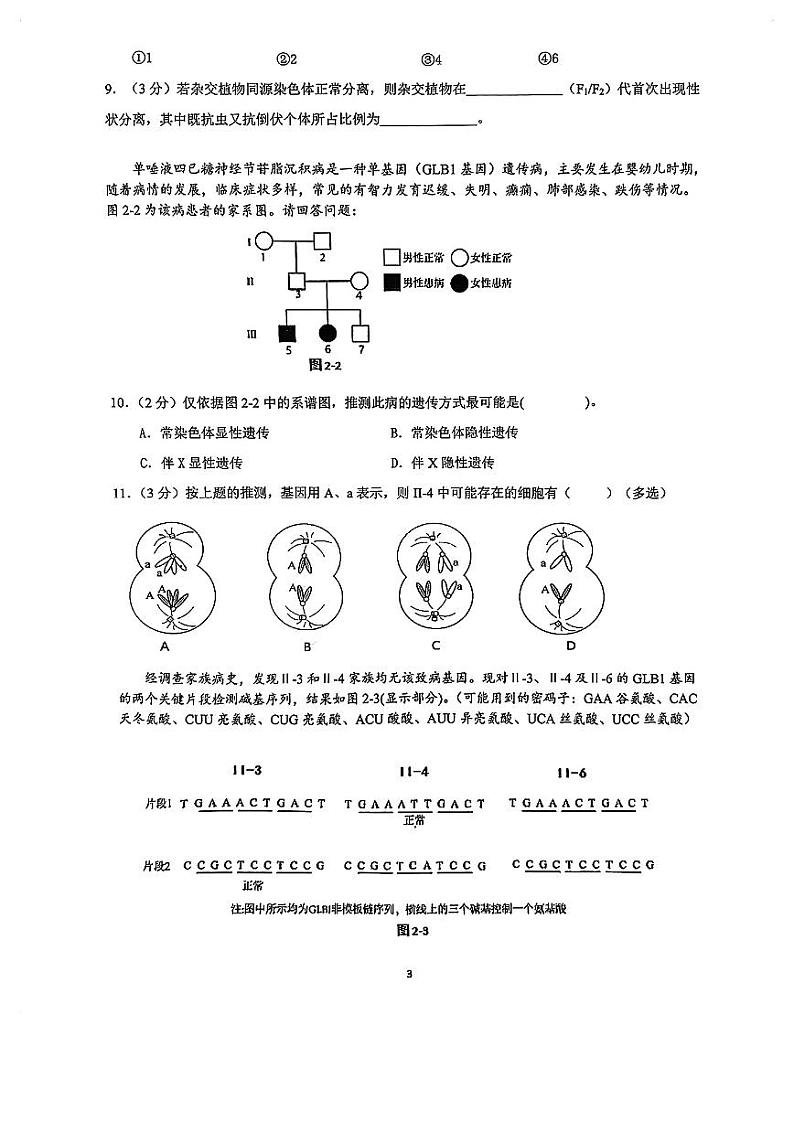 2024年上海普陀区高三二模生物试卷（含答案）03