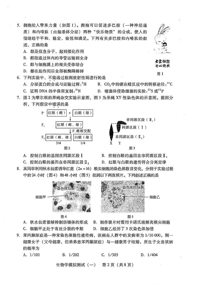 2024年广东省普通高中学业水平选择考模拟测试(一)高三下学期3月生物试题及答案02