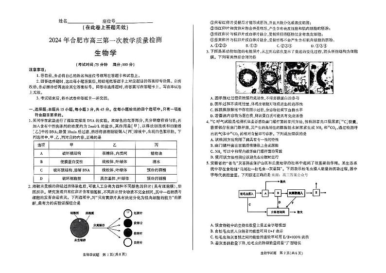 2024年合肥市高三下学期3月第一次教学质量检测生物试题及答案01