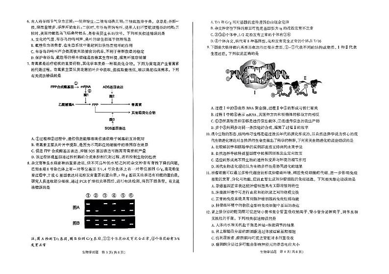 2024年合肥市高三下学期3月第一次教学质量检测生物试题及答案02
