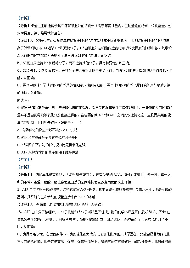 湖南省衡阳市2023-2024学年高三下学期二模生物试题含解析03
