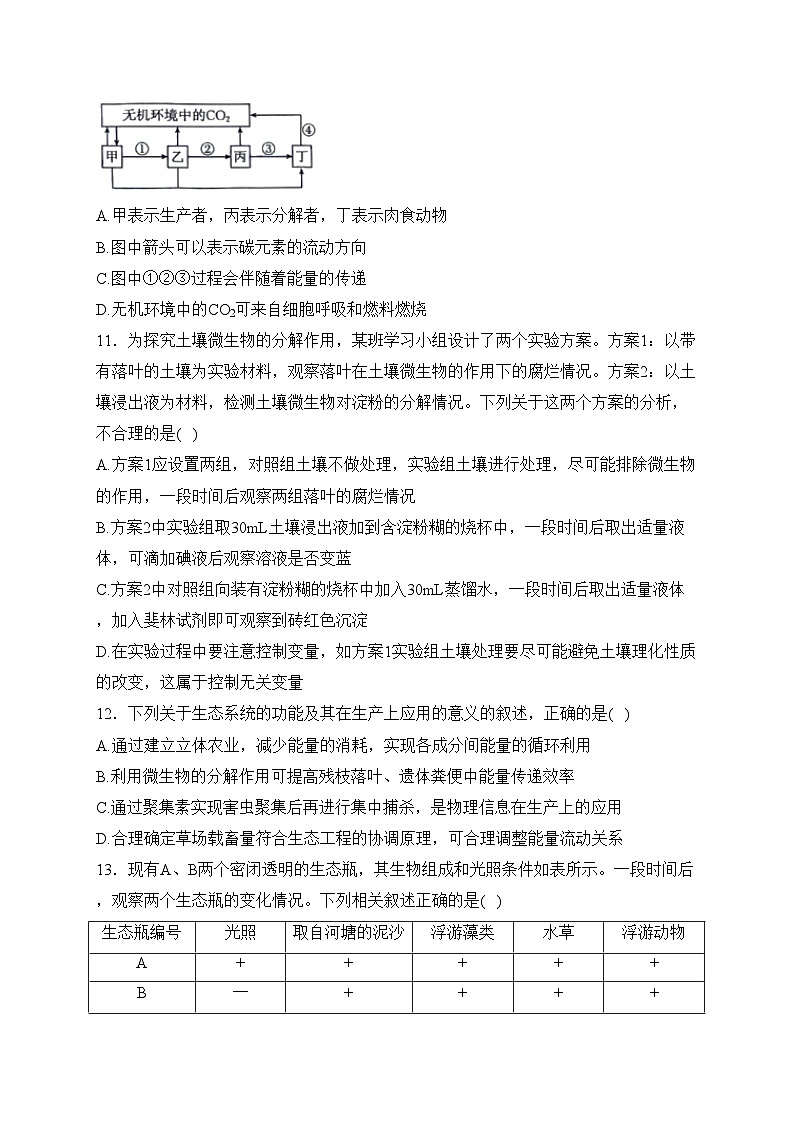 河北省邢台市名校2023-2024学年高二下学期第一次月考生物试卷(含答案)03