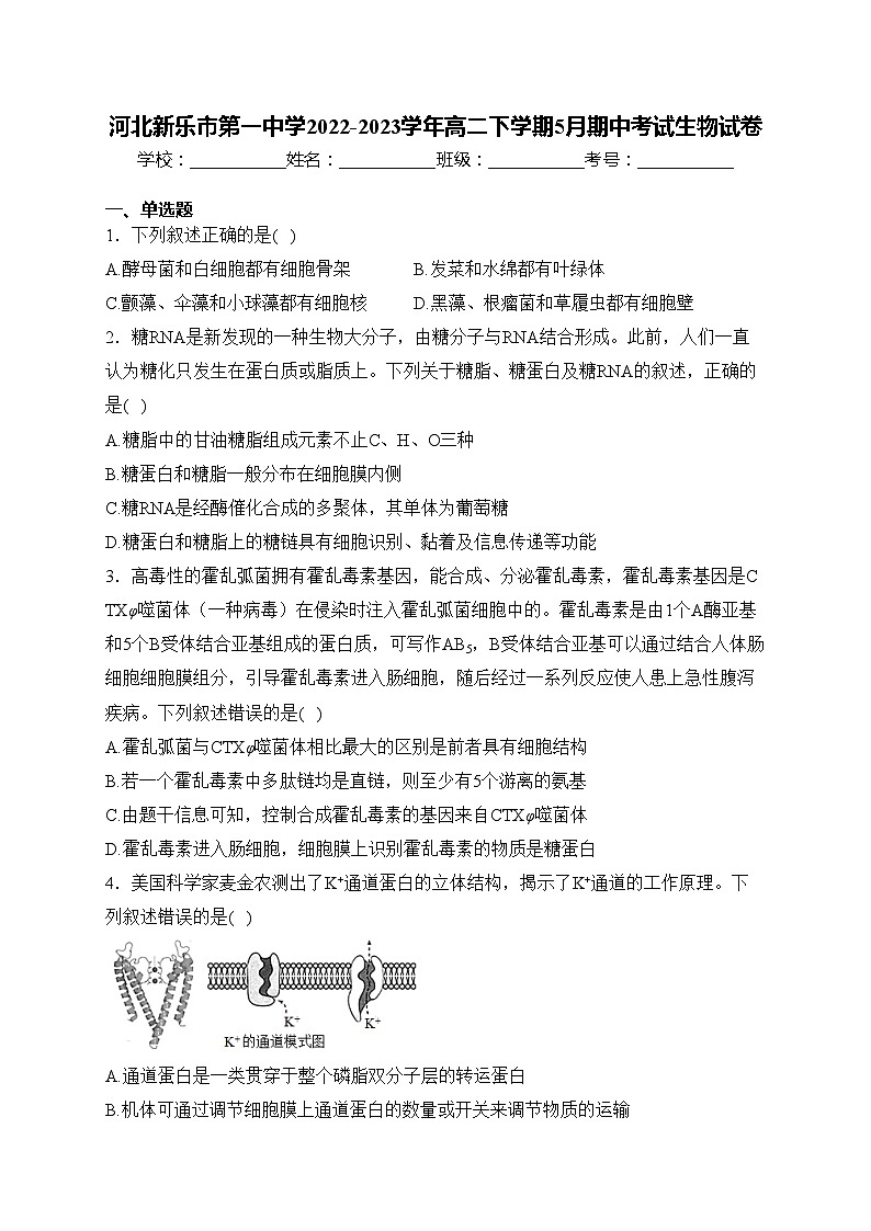 河北新乐市第一中学2022-2023学年高二下学期5月期中考试生物试卷(含答案)第1页