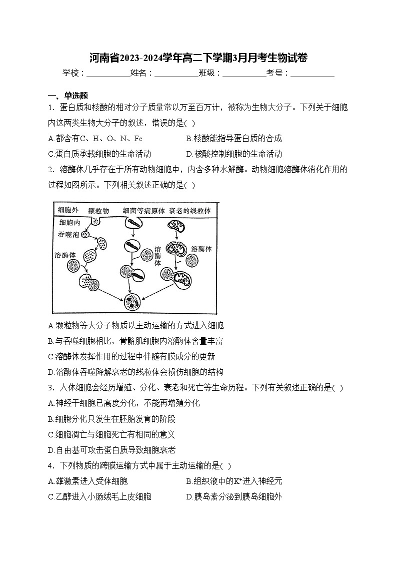 河南省2023-2024学年高二下学期3月月考生物试卷(含答案)第1页