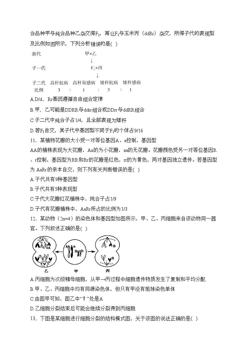 河南省开封市五县联考2023-2024学年高一下学期3月月考生物试卷(含答案)03