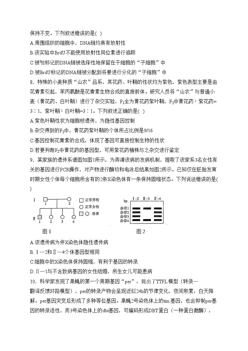 湖北省联考2024届高三下学期3月联合一模测评生物试卷(含答案)第3页