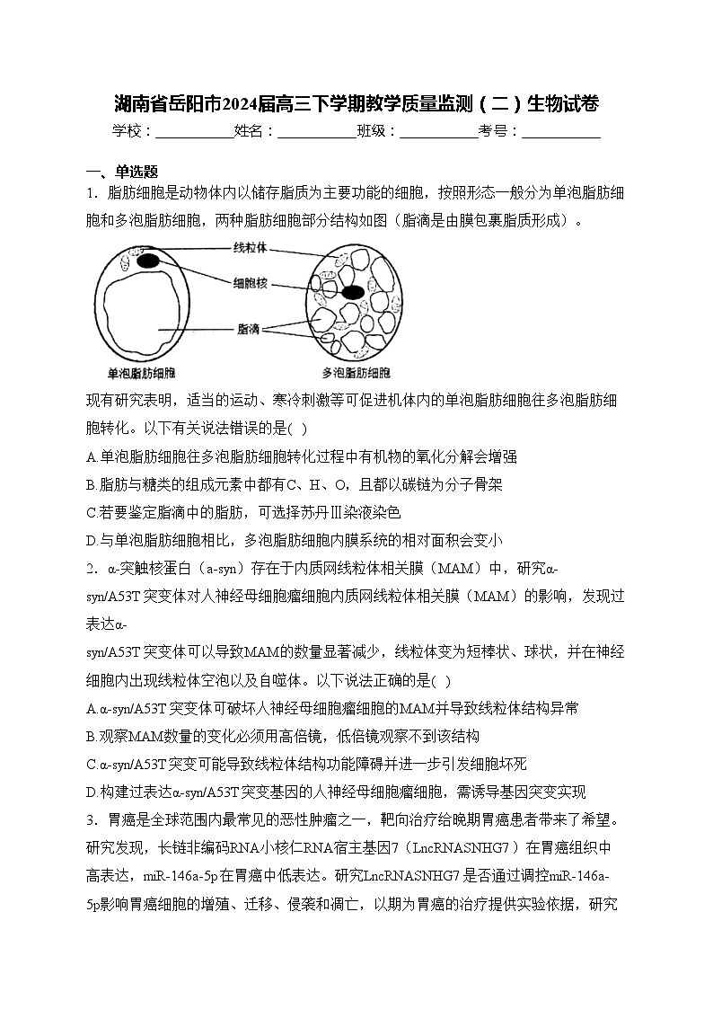湖南省岳阳市2024届高三下学期教学质量监测（二）生物试卷(含答案)第1页
