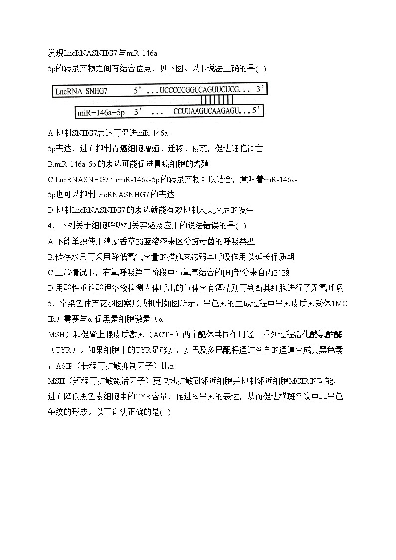 湖南省岳阳市2024届高三下学期教学质量监测（二）生物试卷(含答案)第2页