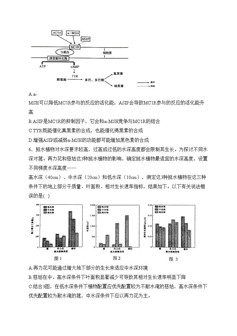 湖南省岳阳市2024届高三下学期教学质量监测（二）生物试卷(含答案)第3页
