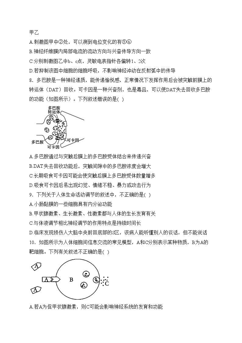 渑池县第二高级中学2023-2024学年高二上学期11月月考生物试卷(含答案)03