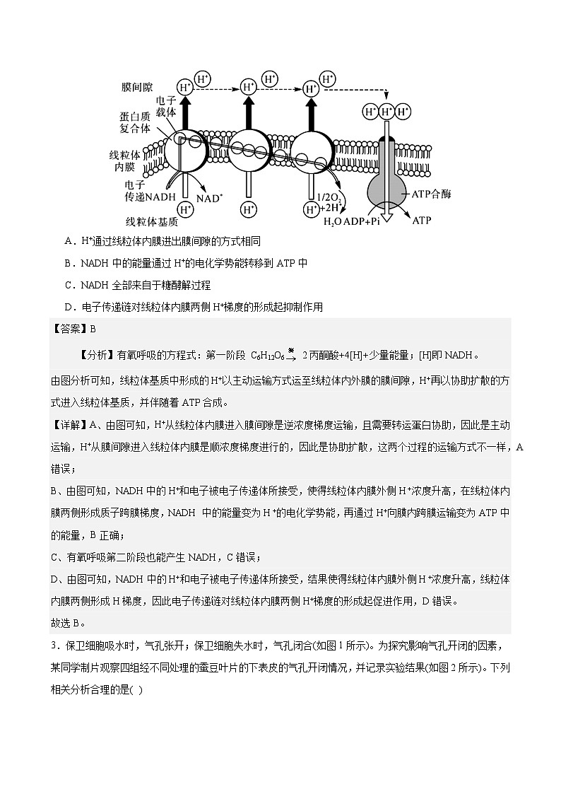2024年高考第二次模拟考试题：生物（北京卷）（解析版）第2页