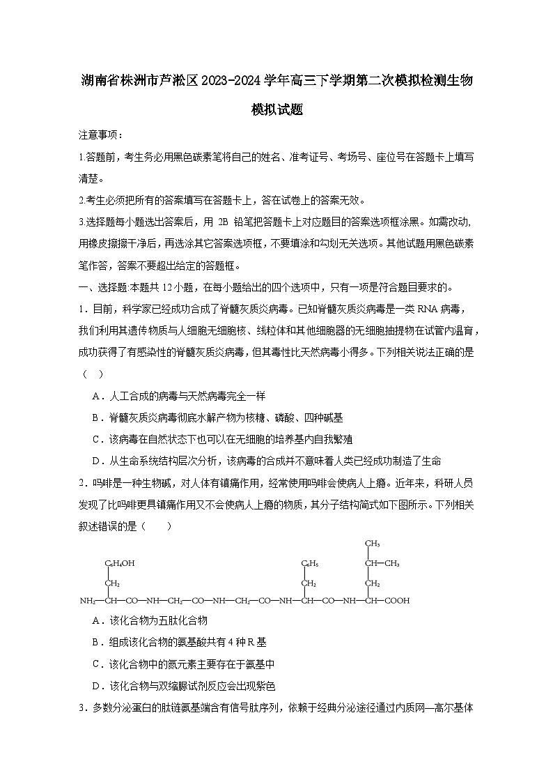 湖南省株洲市芦淞区2023-2024学年高三下册第二次模拟检测生物模拟试卷（附答案）第1页