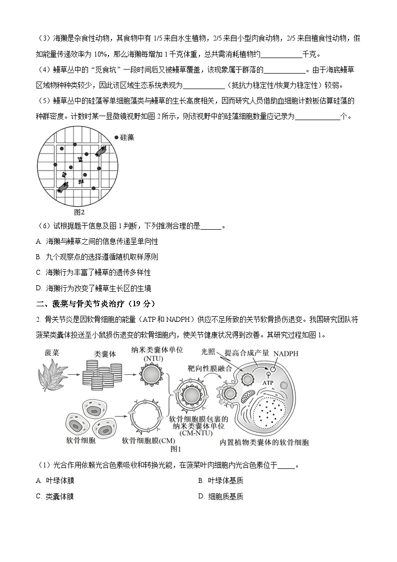 2024上海杨浦区高三下学期3月二模考试生物含解析02