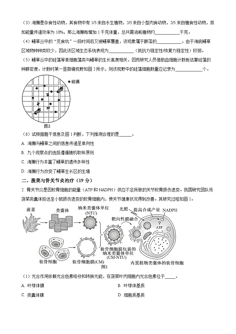 2024上海杨浦区高三下学期3月二模考试生物含解析02