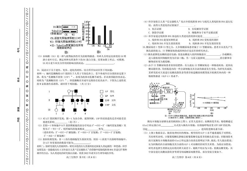 2024天津河北区高三总复习质量检测（一）生物PDF版含答案03