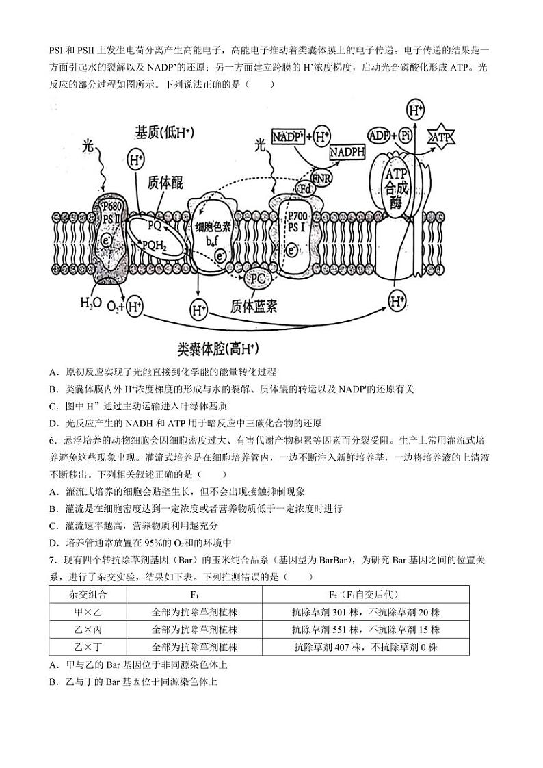 湖北省十一校2023-2024学年高三下学期第二次联考生物试题(无答案)第2页