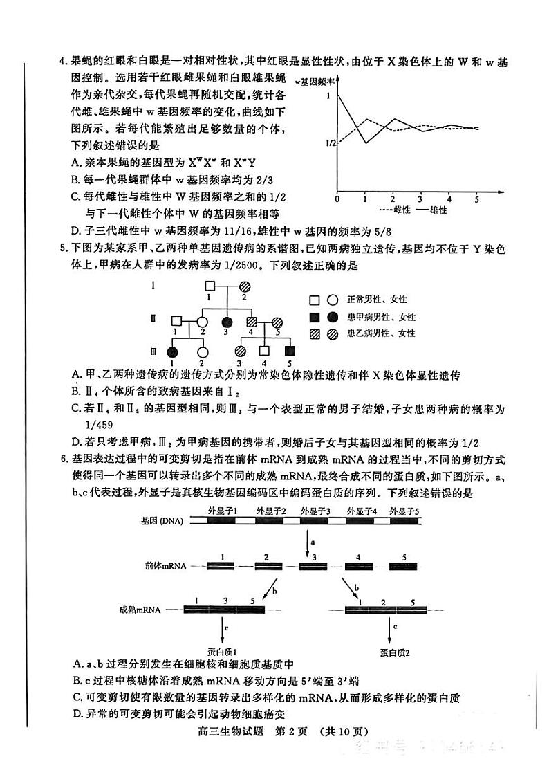 扫描件_2024年3月济南市高三模拟考试（生物）(2)第2页