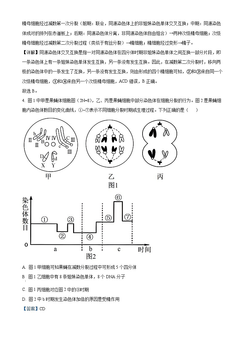 福建省厦门第二中学2023-2024学年高一下学期第一次月考生物试题（解析版）第3页