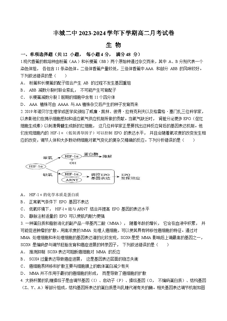 江西省宜春市丰城市第二中学2023-2024学年高二下学期4月月考生物试题（Word版附解析）01