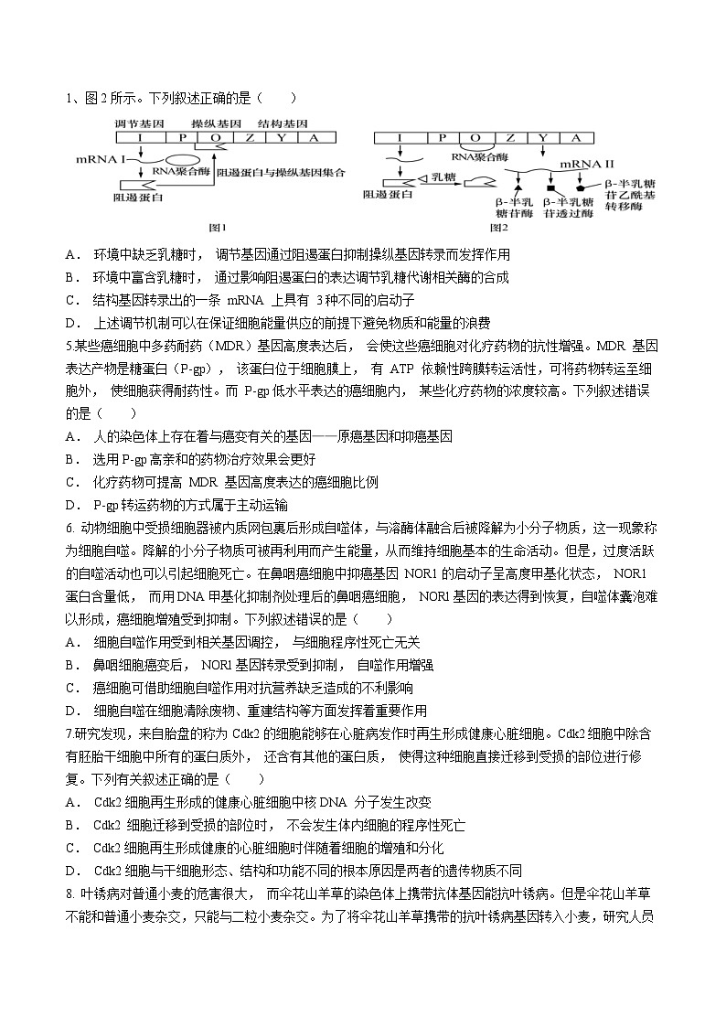 江西省宜春市丰城市第二中学2023-2024学年高二下学期4月月考生物试题（Word版附解析）02