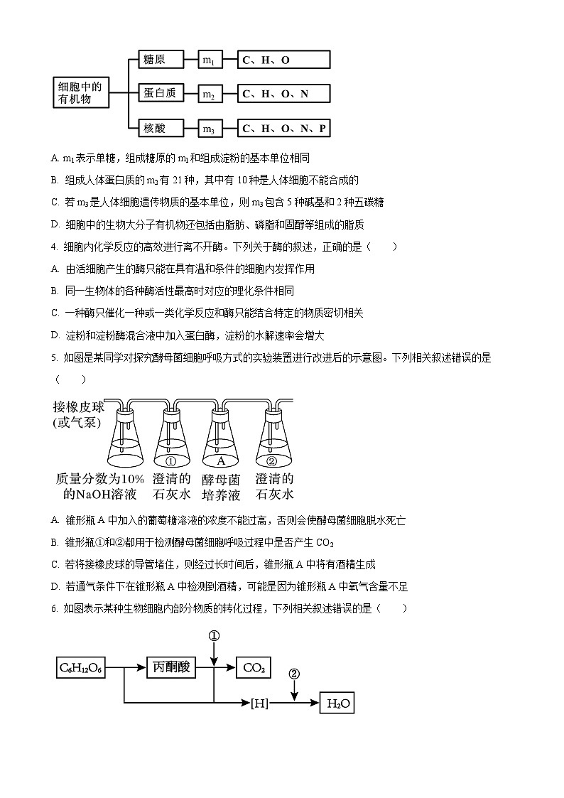 山西省三晋联盟2023-2024学年高一下学期3月质量检测生物试题（Word版附解析）02