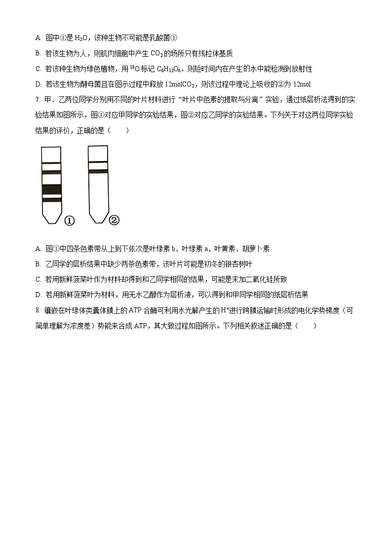 山西省三晋联盟2023-2024学年高一下学期3月质量检测生物试题（Word版附解析）03