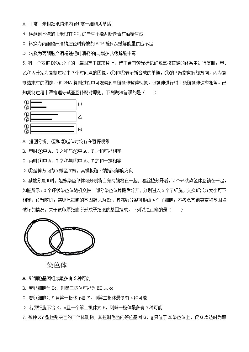 2023年山东省普通高中学业水平等级考试生物真题及答案02