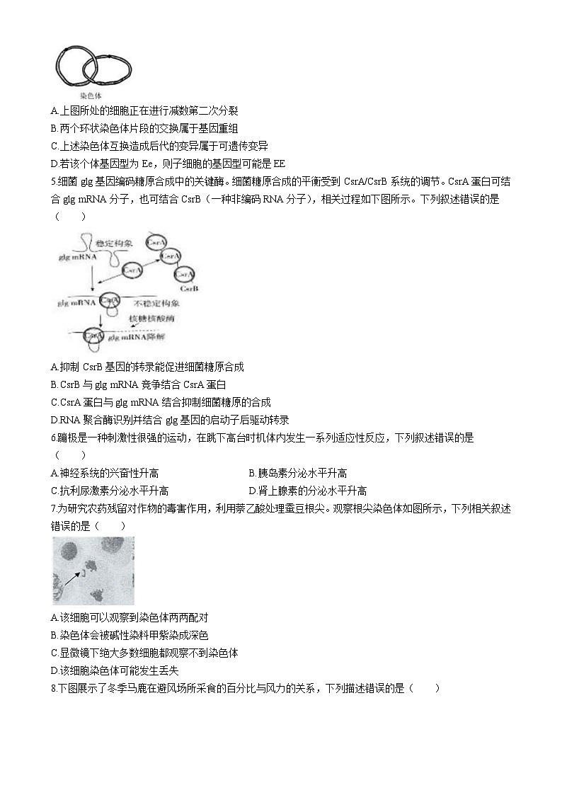 2024届北京市延庆区高三一模生物试题02