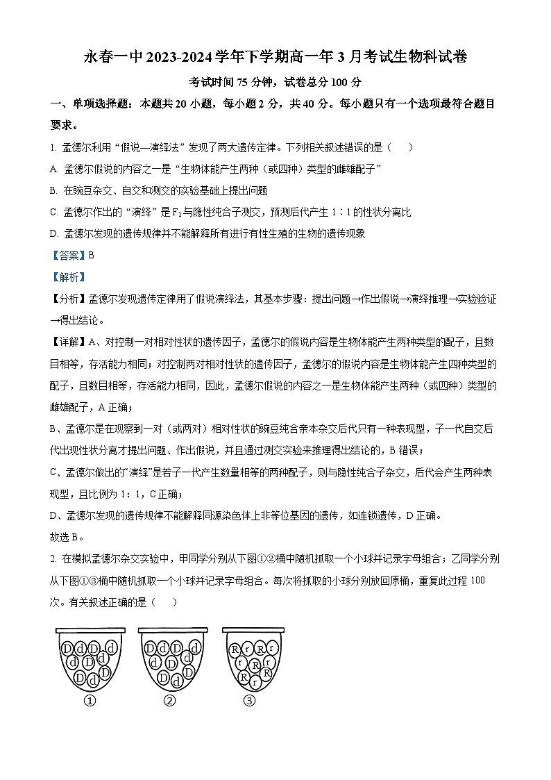 福建省泉州市永春第一中学2023-2024学年高一下学期4月月考生物试题（原卷版+解析版）01