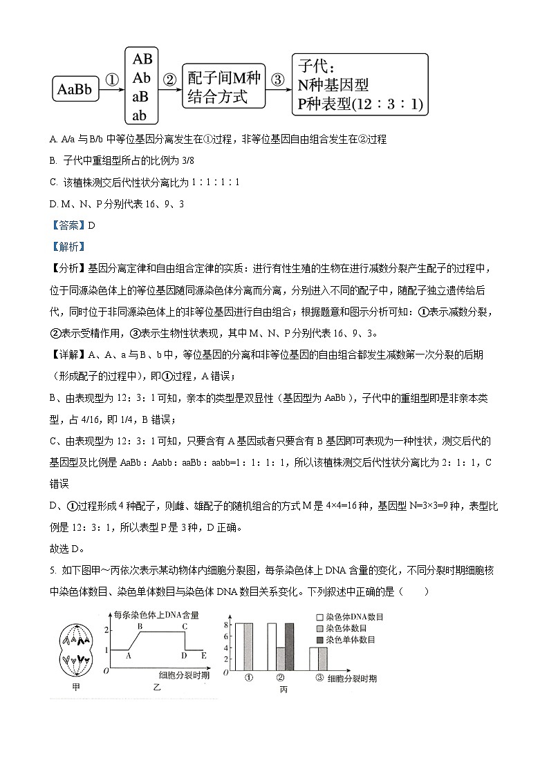 陕西省西安市选课分科摸底考2023-2024学年高一下学期4月月考生物试题（解析版）第3页