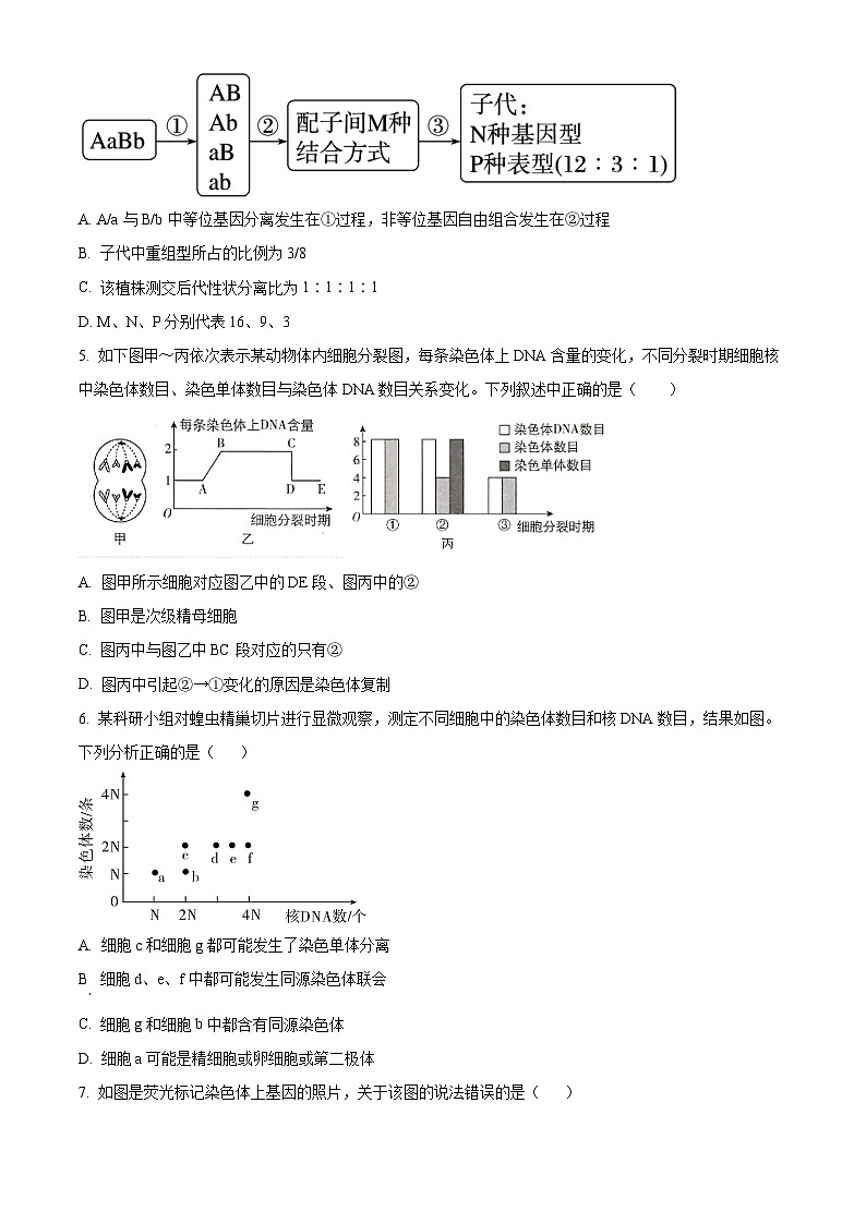 陕西省西安市选课分科摸底考2023-2024学年高一下学期4月月考生物试题（原卷版）第2页