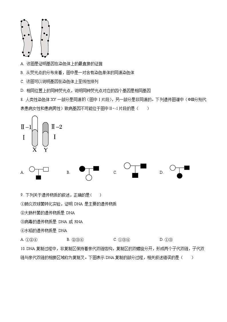 陕西省西安市选课分科摸底考2023-2024学年高一下学期4月月考生物试题（原卷版）第3页