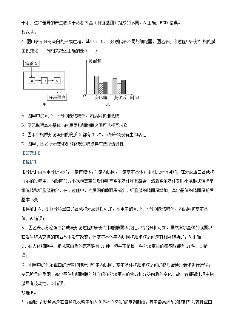 云南省红河哈尼族彝族自治州蒙自市第一高级中学2023-2024学年高一下学期4月月考生物试题（原卷版+解析版）03